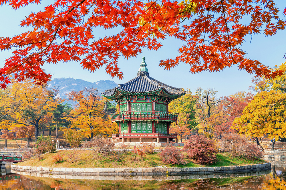 gyeongbukgung-maple-tree-autumn-korea-01.jpg