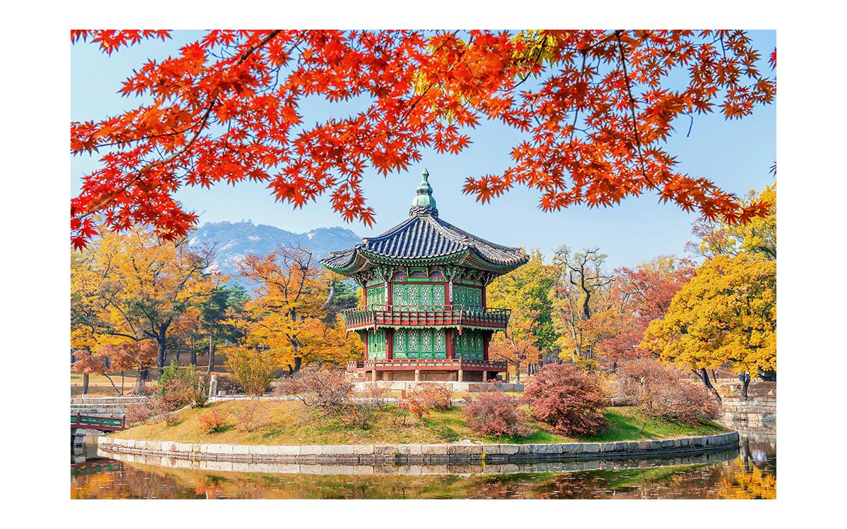 패키지 준비중입니다.